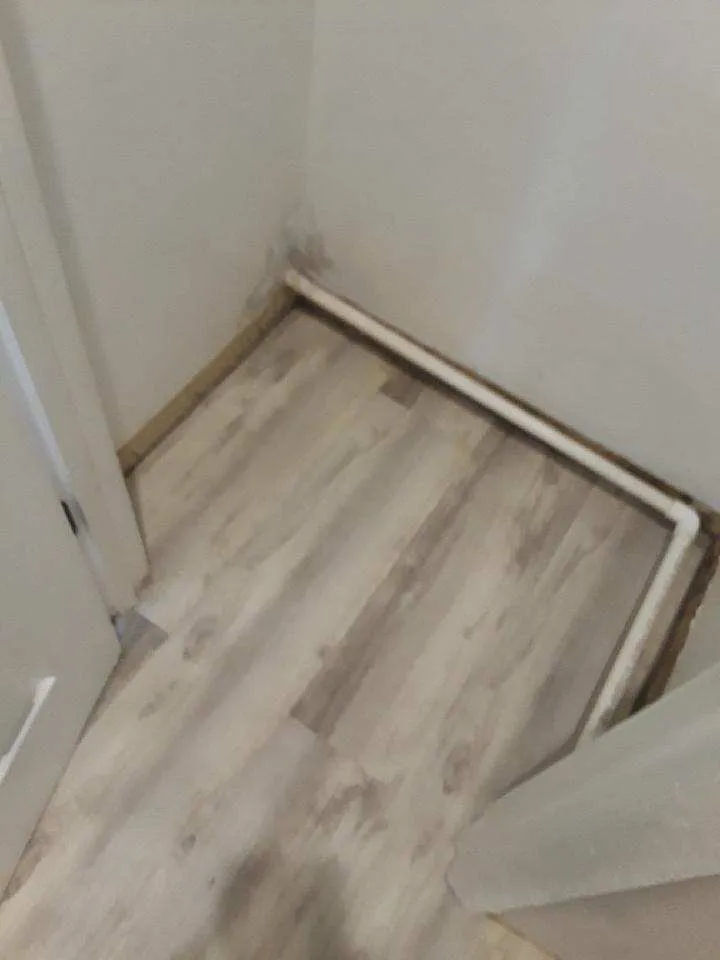 Affordable garden landscaping for homes in Crescent City, FL by Michael Knox Umbrella Services