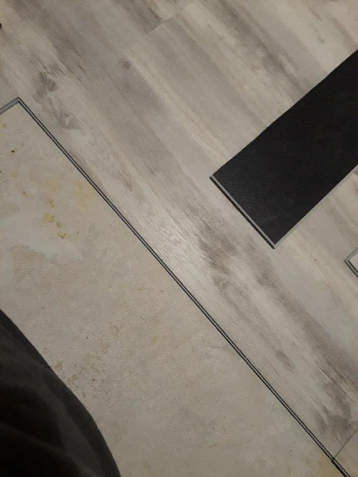 Top-rated garden landscaping for year-round maintenance across Crescent City, FL - Michael Knox Umbrella Services