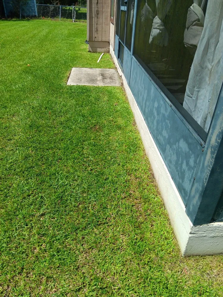 Professional lawn care service experts serving Crescent City, FL - Michael Knox Umbrella Services