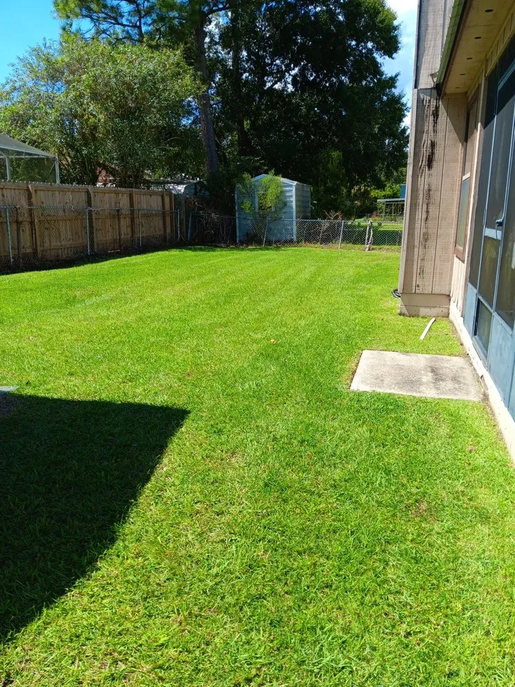 Custom landscape installation experts serving Crescent City, FL - Michael Knox Umbrella Services