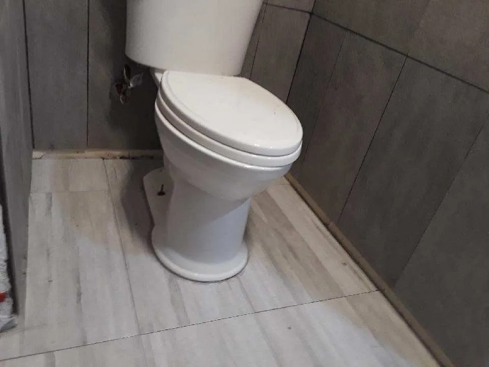 Top-rated landscape installation with custom design across Crescent City, FL - Michael Knox Umbrella Services