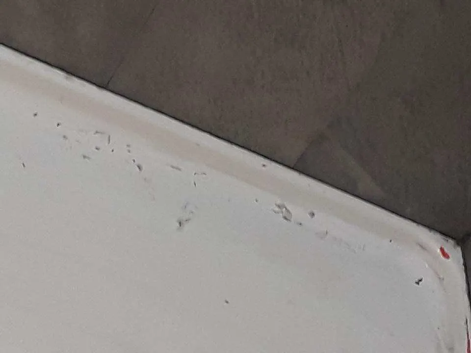 Reliable yard maintenance for beautiful yards in Crescent City, FL by Michael Knox Umbrella Services