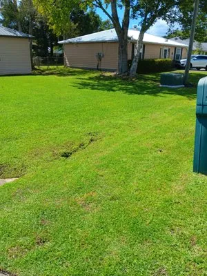 Michael Knox Umbrella Services Logo