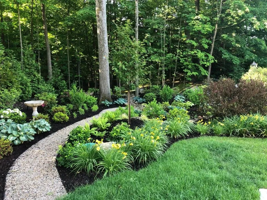 Professional yard cleanup service experts serving Armonk, NY - Michael Labriola