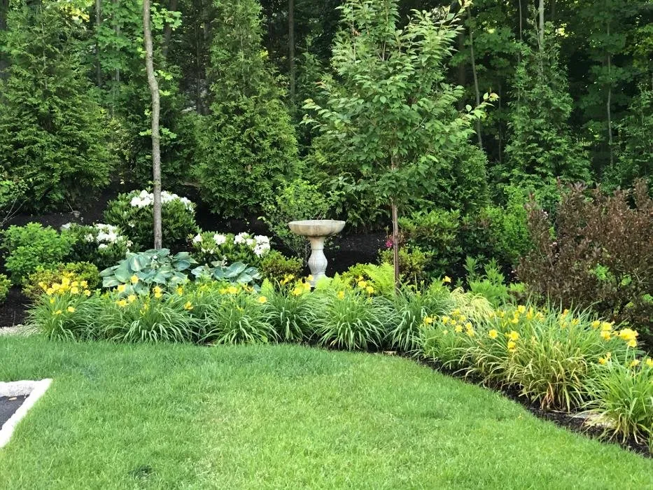 Reliable landscape design in Armonk, NY by Michael Labriola