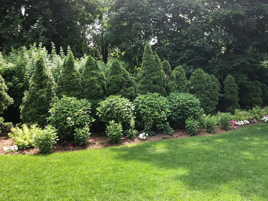 Expert yard maintenance for year-round maintenance across Armonk, NY - Michael Labriola