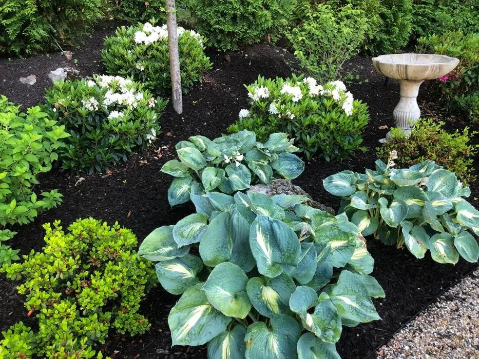 Local garden landscaping experts serving Armonk, NY - Michael Labriola