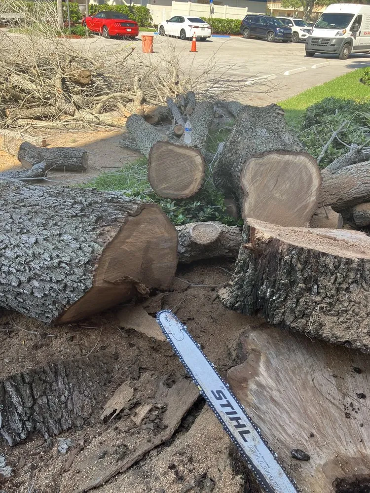 Reliable lawn mowing service in Tamarac, FL by Michael Landscaping