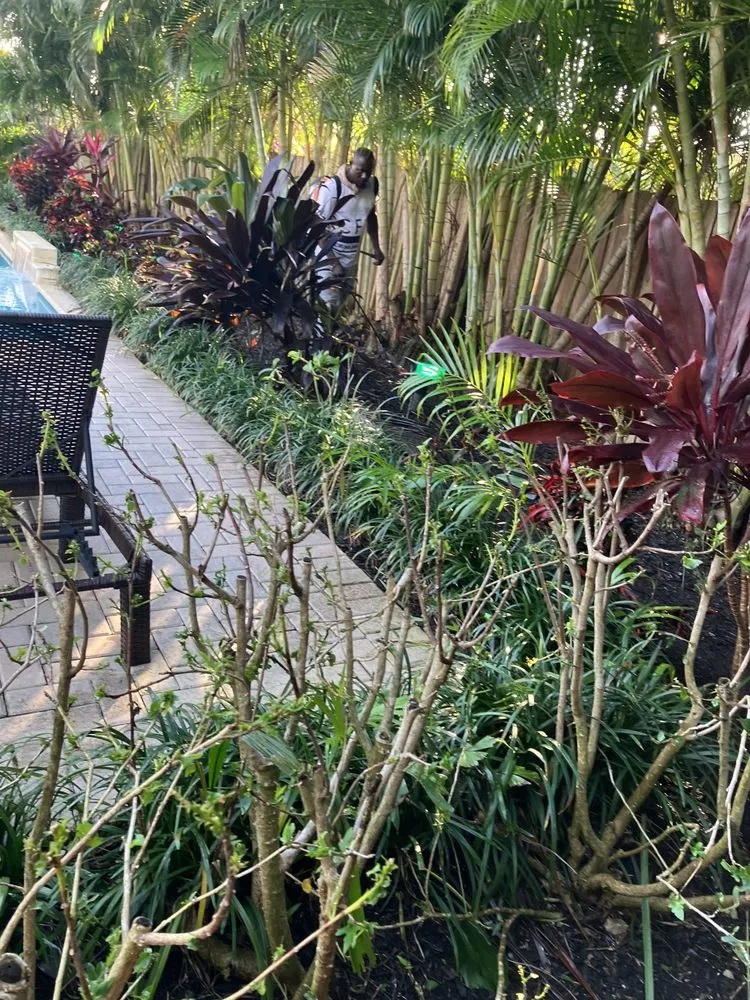 Local landscaping services with custom design across Tamarac, FL - Michael Landscaping