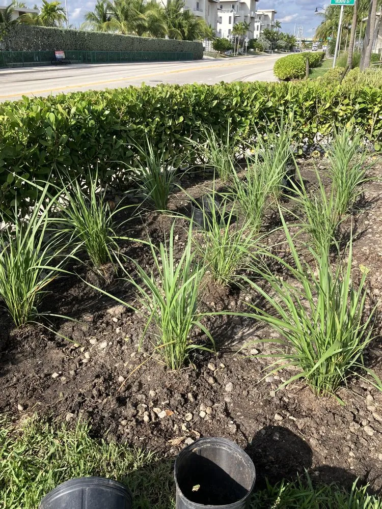 Professional lawn mowing service for beautiful yards across Tamarac, FL - Michael Landscaping