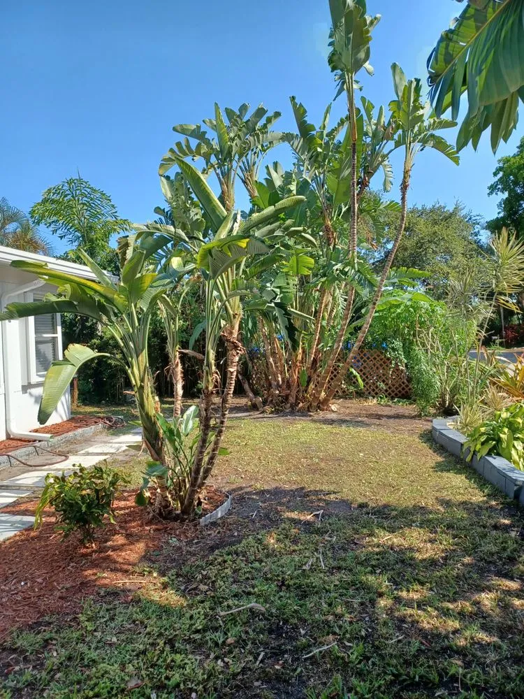 Professional residential landscaping for homes across Tamarac, FL - Michael Landscaping