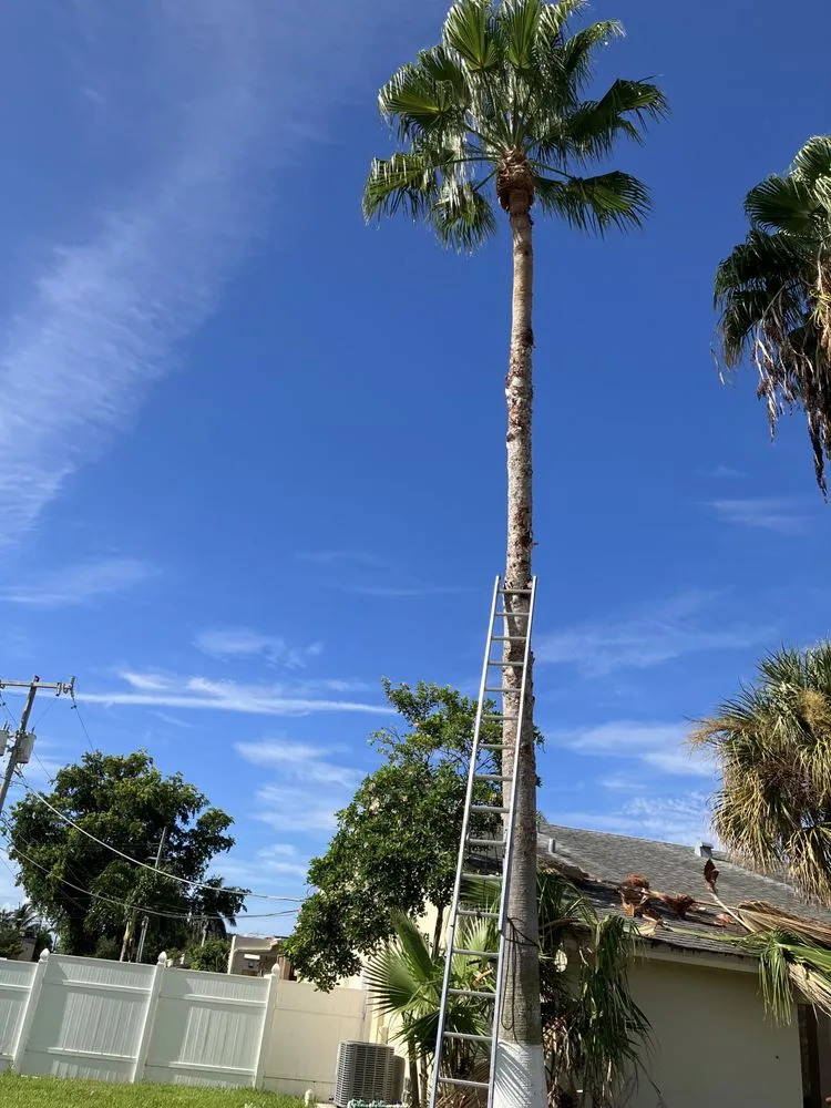 Professional garden landscaping in Tamarac, FL - Michael Landscaping