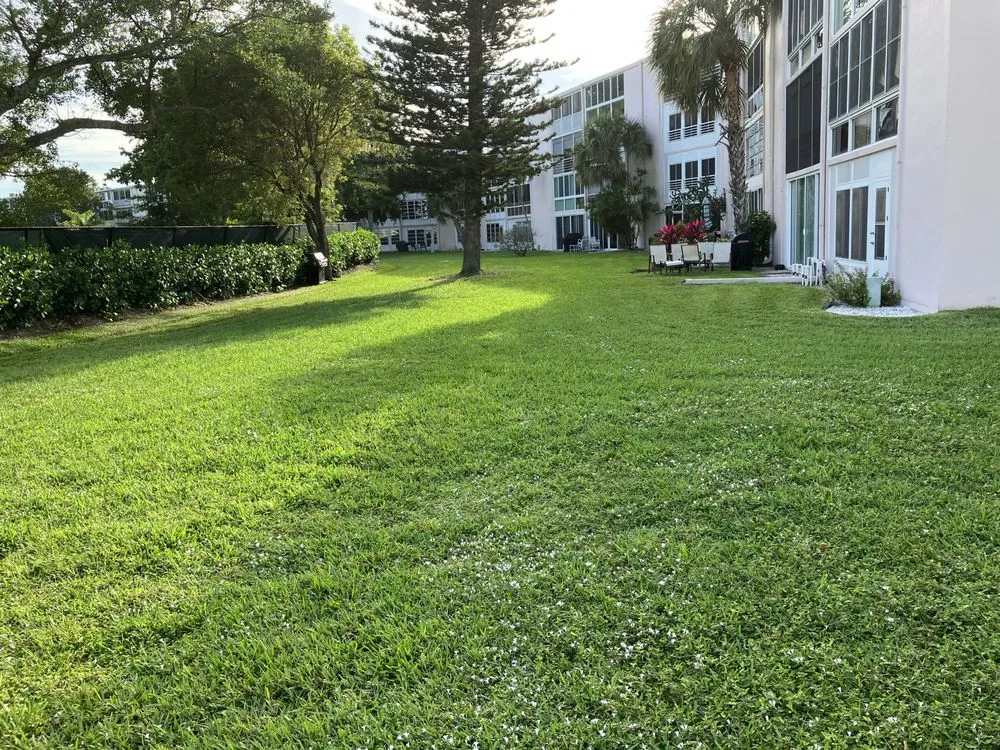 Local yard maintenance in Tamarac, FL - Michael Landscaping