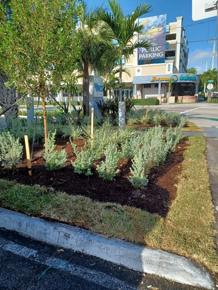 Affordable residential landscaping in Tamarac, FL by Michael Landscaping