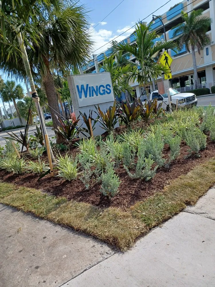 Trusted yard cleanup service in Tamarac, FL - Michael Landscaping