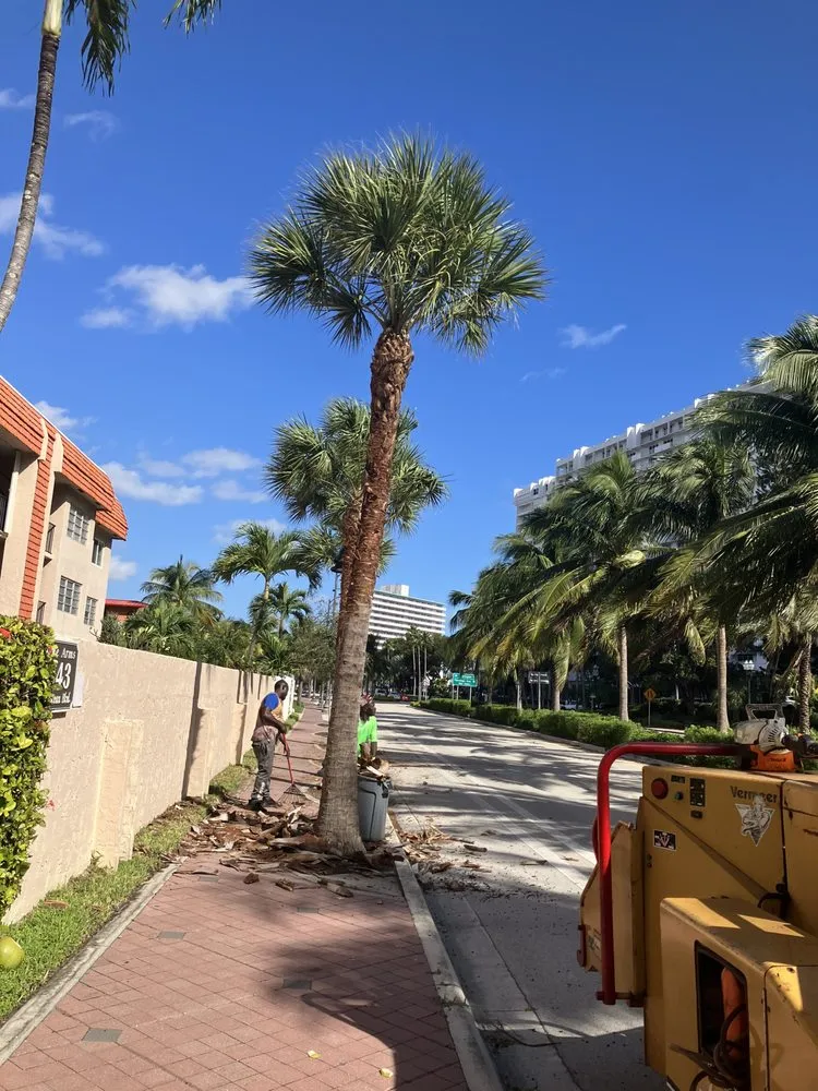 Expert lawn mowing service for outdoor upgrades in Tamarac, FL by Michael Landscaping