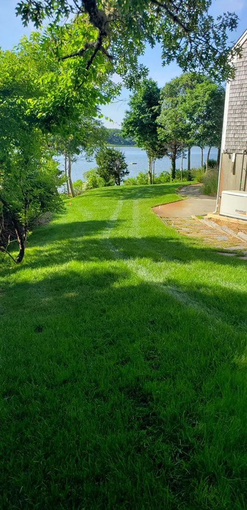 Local yard cleanup service experts serving Brewster, MA - Michael Santos Irrigation