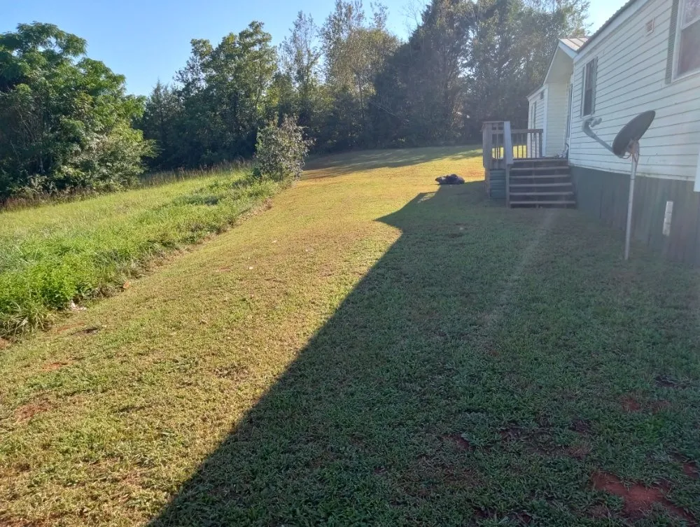 Top-rated yard cleanup service in Hartwell, GA - Michael Scott Grass Cutting And Limb And Tree Cutting