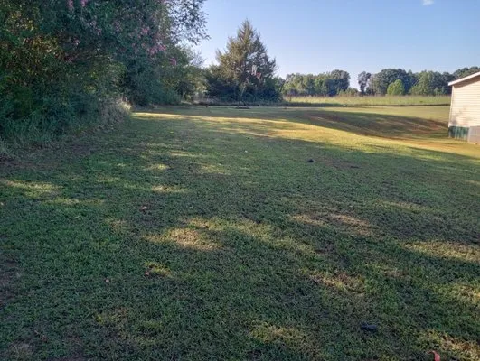 Michael Scott Grass Cutting And Limb And Tree Cutting Logo