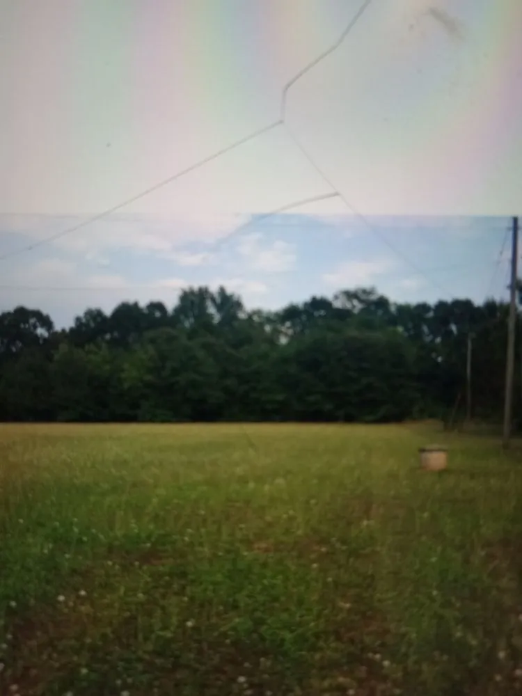 Local lawn care service near you in Hartwell, GA by Michael Scott Lawn Service