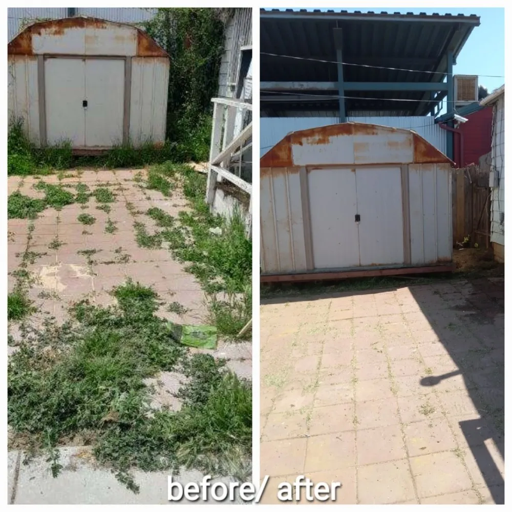 Expert landscape installation for year-round maintenance across Imperial Beach, CA - Michael Sierra Cleaning Services