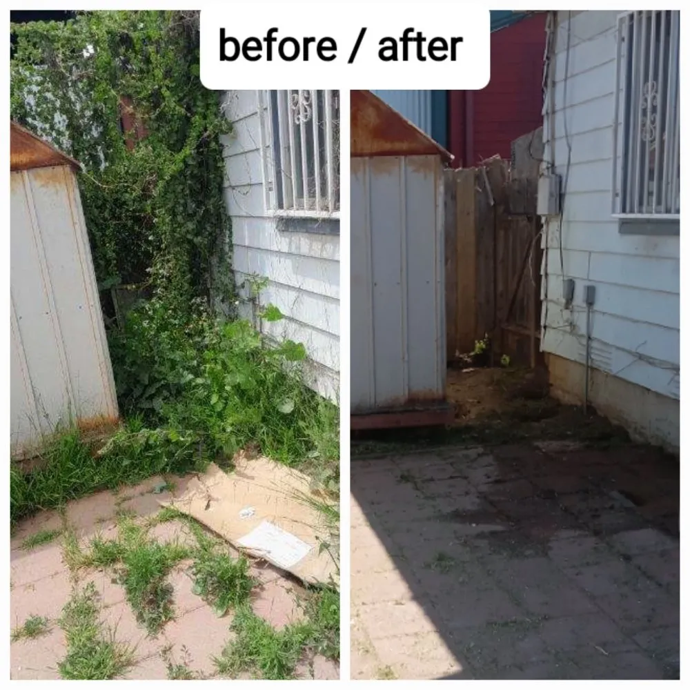 Custom residential landscaping with custom design across Imperial Beach, CA - Michael Sierra Cleaning Services