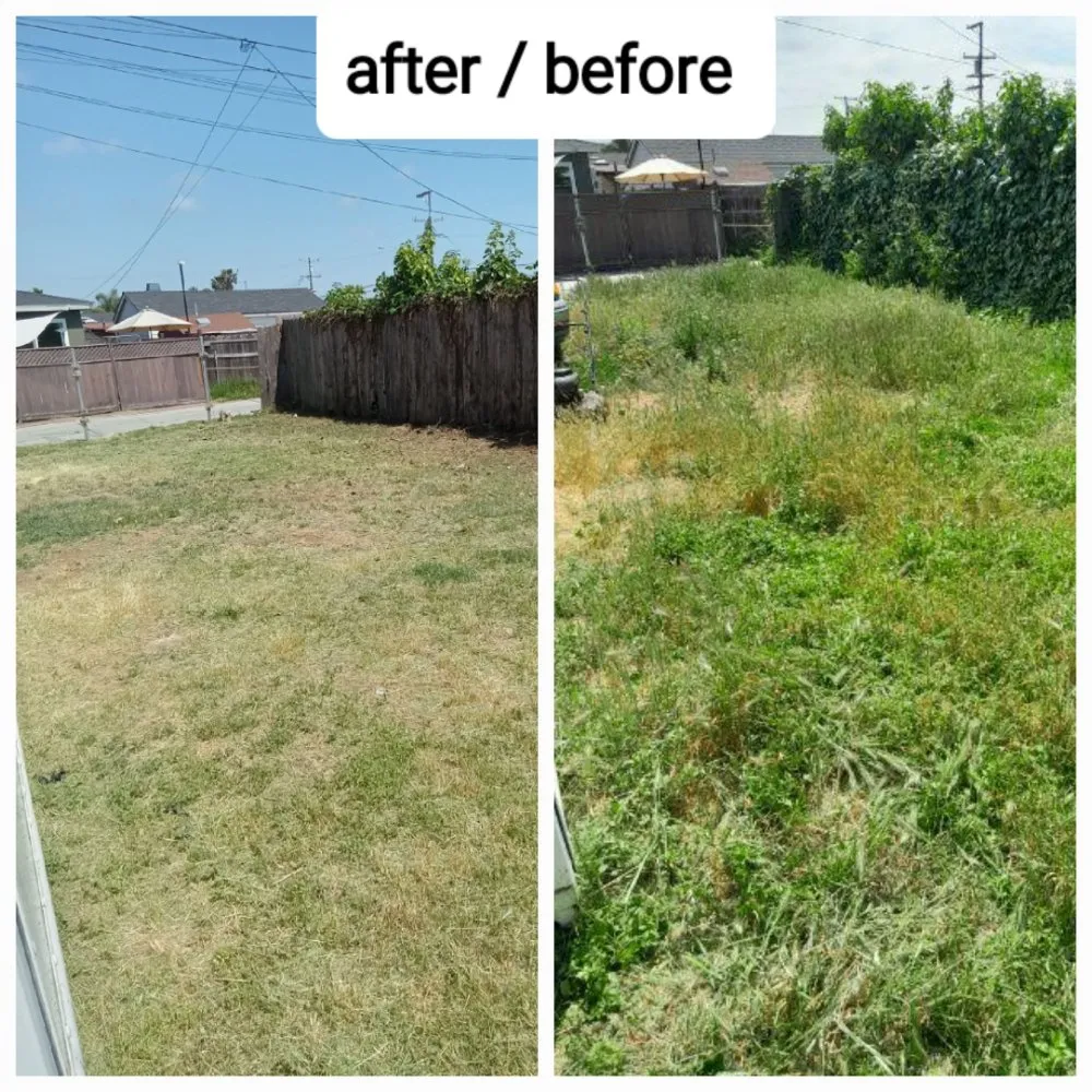 Custom landscaping services for outdoor upgrades across Imperial Beach, CA - Michael Sierra Cleaning Services