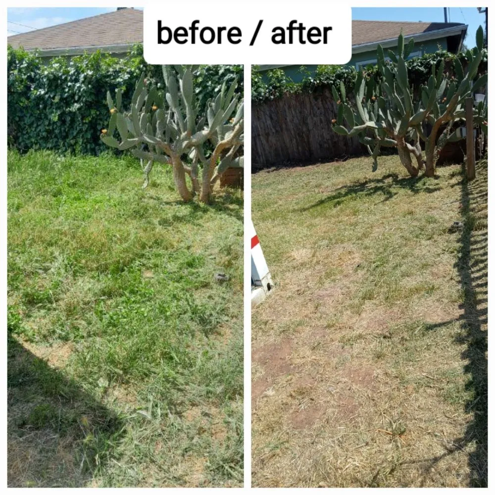 Affordable lawn care service in Imperial Beach, CA - Michael Sierra Cleaning Services