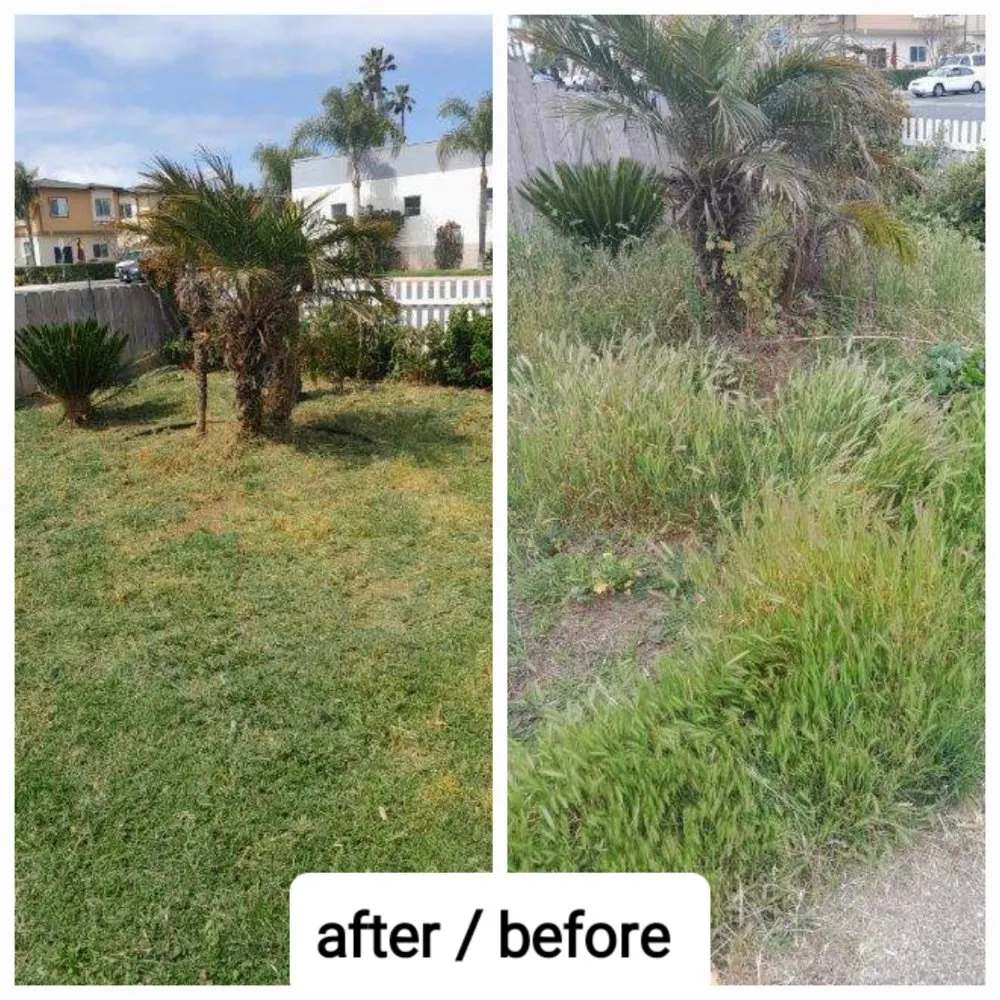Affordable outdoor landscaping experts serving Imperial Beach, CA - Michael Sierra Cleaning Services