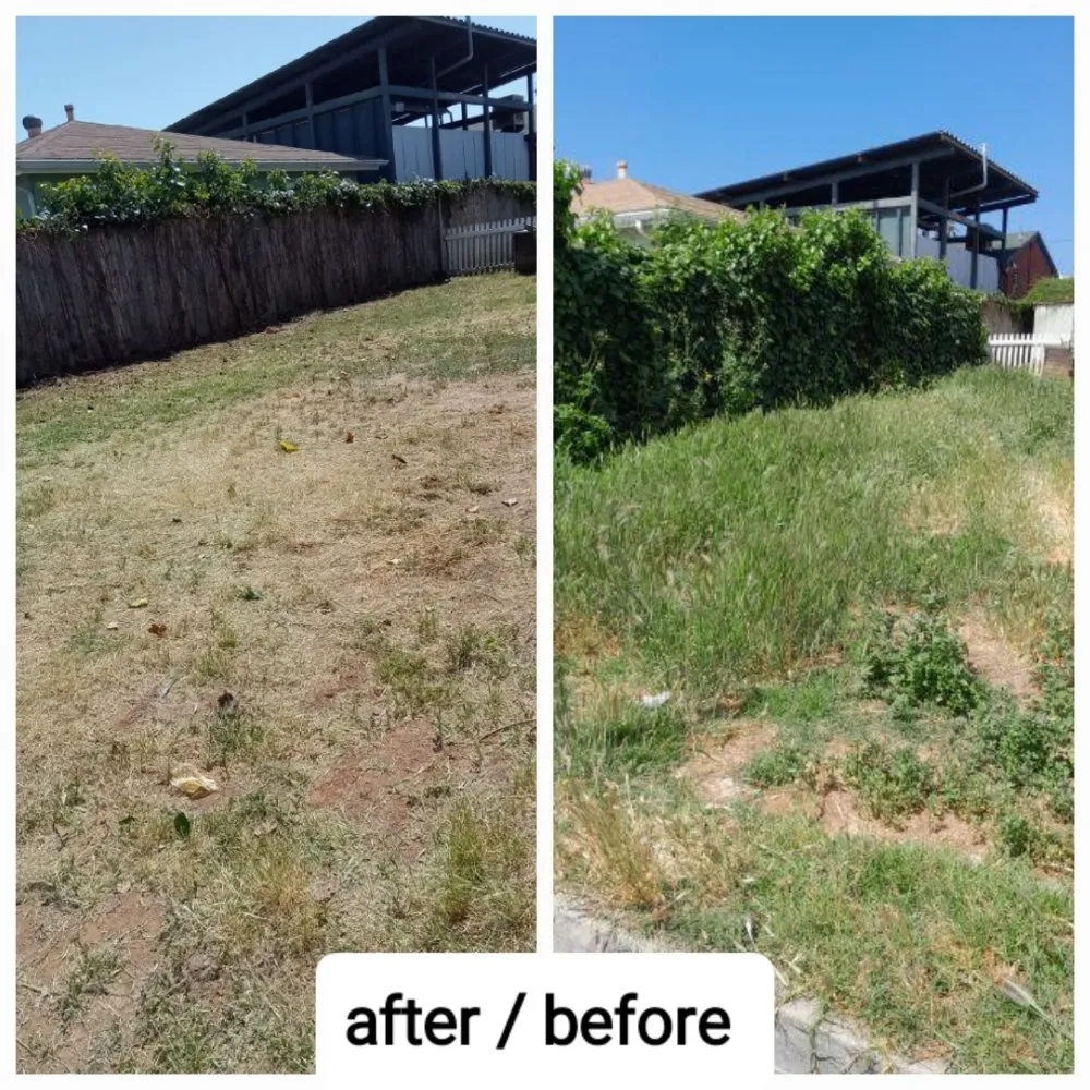 Reliable outdoor landscaping for beautiful yards in Imperial Beach, CA by Michael Sierra Cleaning Services
