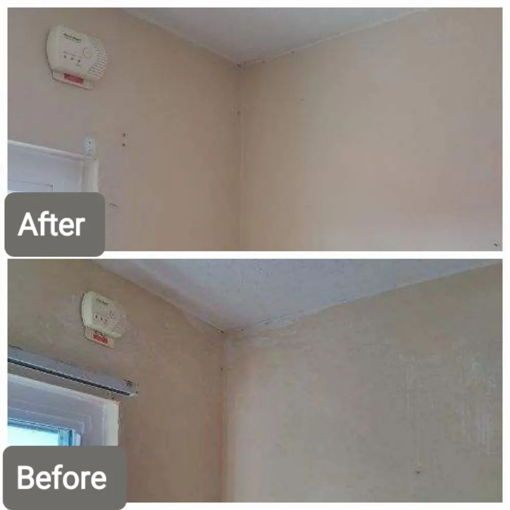 Trusted residential landscaping in Imperial Beach, CA - Michael Sierra Cleaning Services