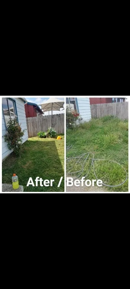 Trusted lawn care service in Imperial Beach, CA by Michael Sierra Cleaning Services