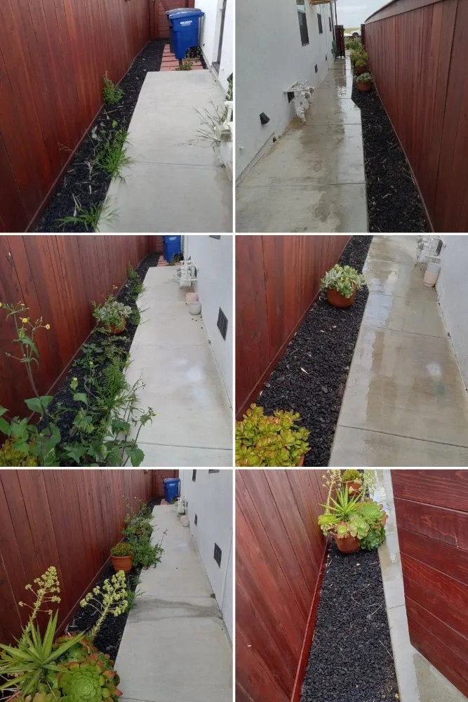 Trusted residential landscaping in Imperial Beach, CA by Michael Sierra Cleaning Services