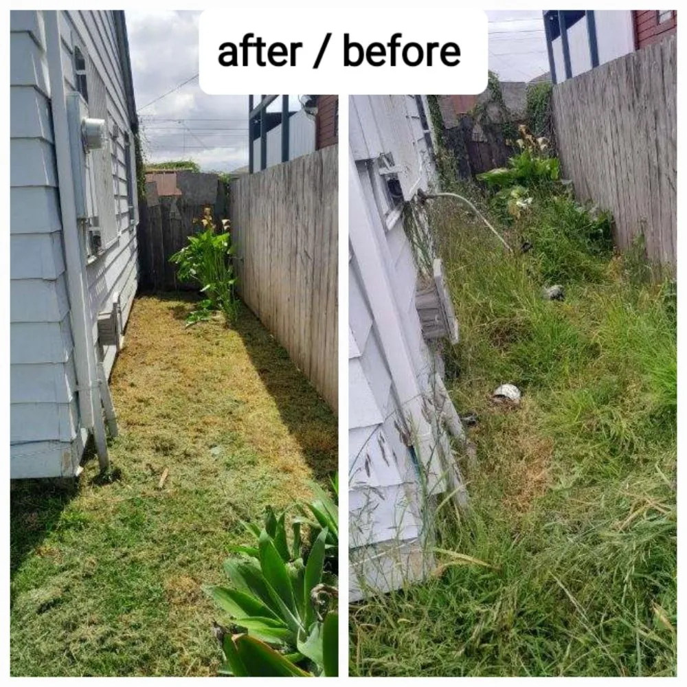 Local lawn care service in Imperial Beach, CA - Michael Sierra Cleaning Services