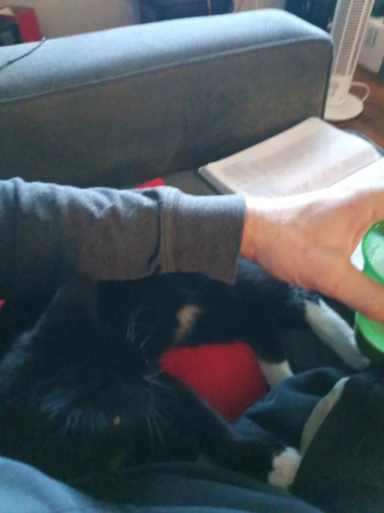 Top-rated outdoor landscaping for residential properties across Pryor, OK - Michael Sims