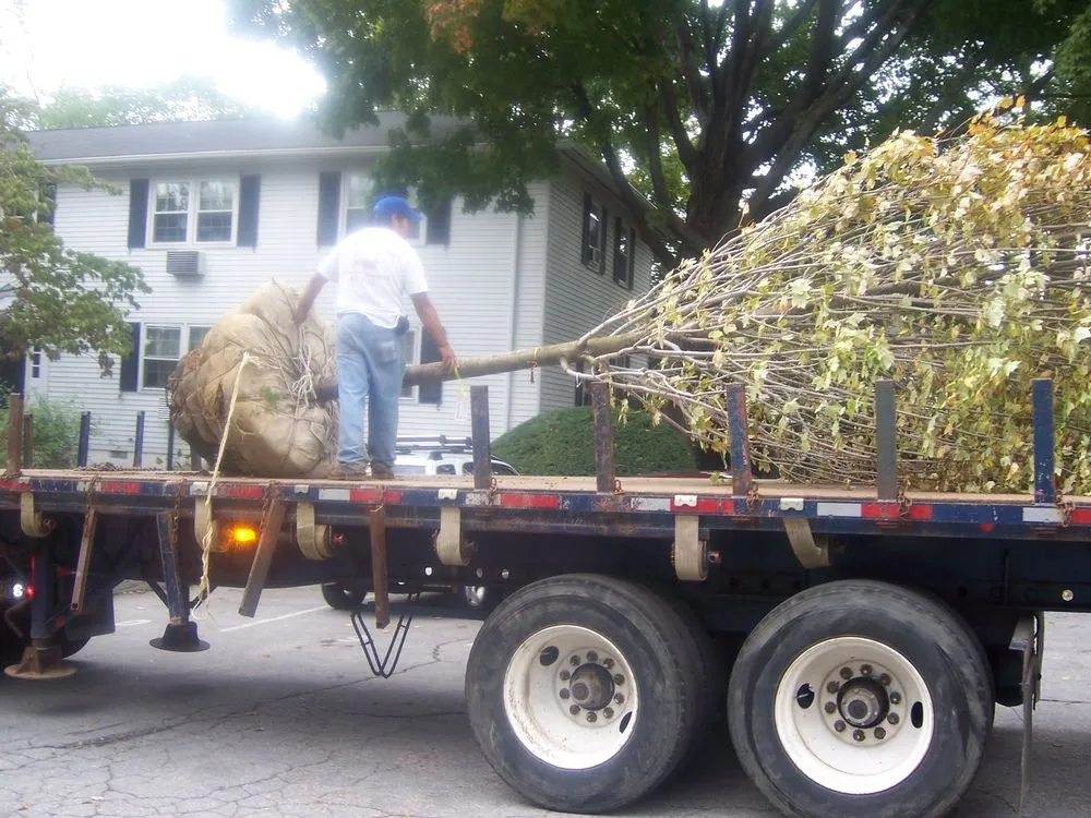 Local landscape design for homes across Greenwich, CT - Michael Sinisi & Son