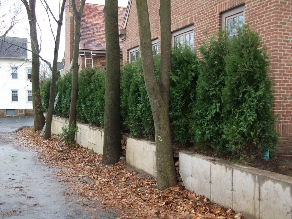 Expert landscape installation for outdoor upgrades in Greenwich, CT by Michael Sinisi & Son