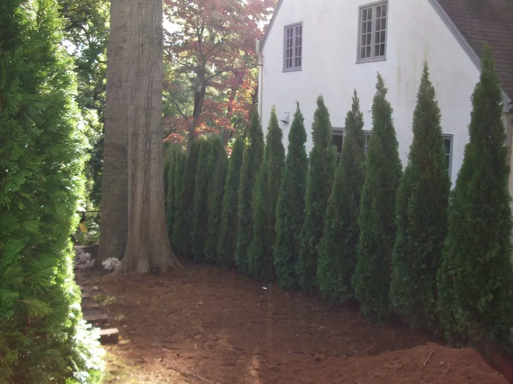 Top-rated landscaping services for outdoor upgrades in Greenwich, CT by Michael Sinisi & Son