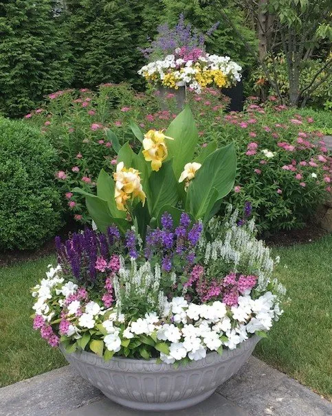 Affordable landscaping services in Greenwich, CT - Michael Sinisi & Son