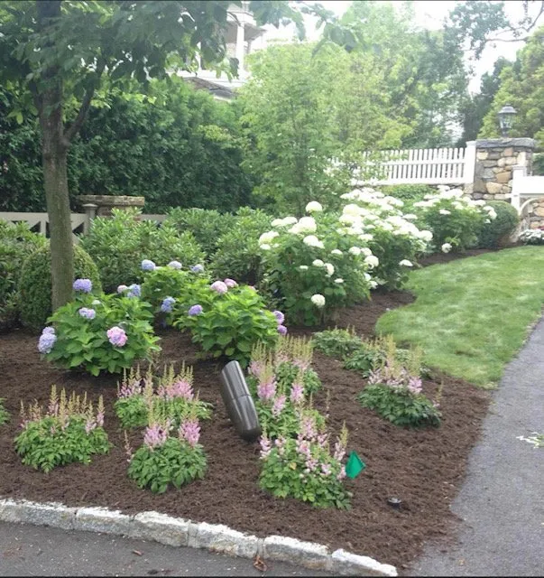 Reliable lawn mowing service for year-round maintenance across Greenwich, CT - Michael Sinisi & Son