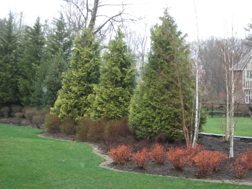 Top-rated landscaping services experts serving Greenwich, CT - Michael Sinisi & Son