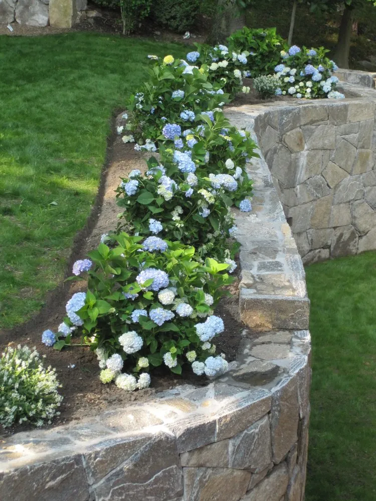 Top-rated landscape design for residential properties across Greenwich, CT - Michael Sinisi & Son