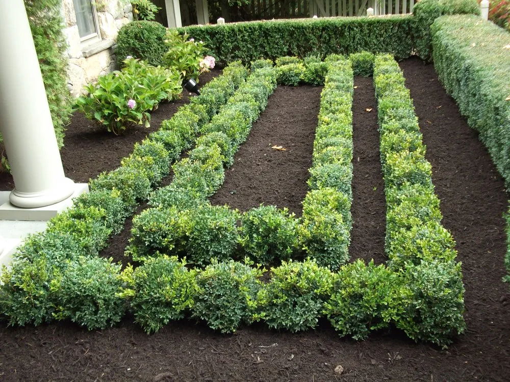 Reliable lawn care service in Greenwich, CT - Michael Sinisi & Son