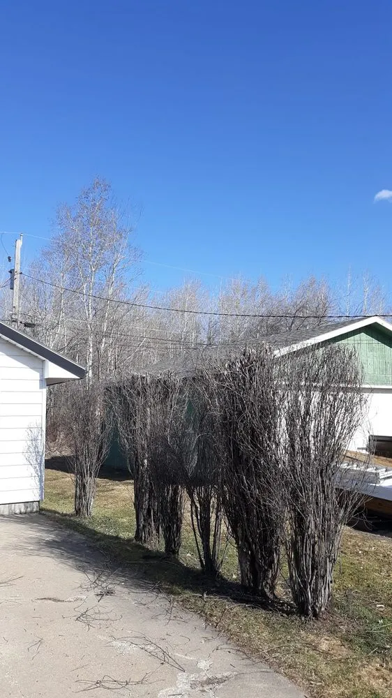 Trusted yard maintenance in Kinney, MN by Michael Teska's Mowing or Snow Removing