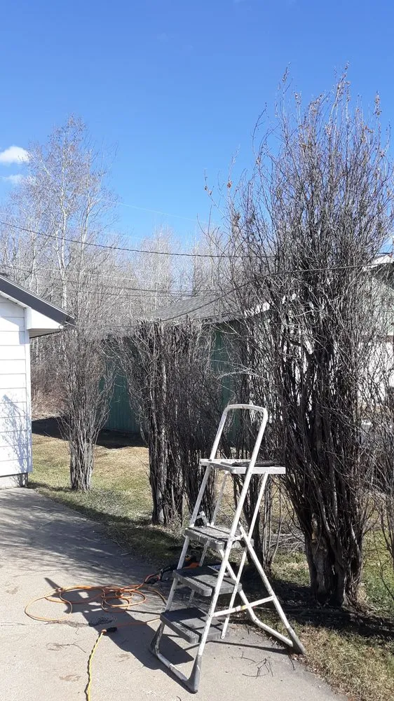 Custom outdoor landscaping in Kinney, MN by Michael Teska's Mowing or Snow Removing