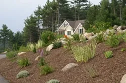 Expert landscape installation in Bedford, NH by Michael Therrien Landscaping