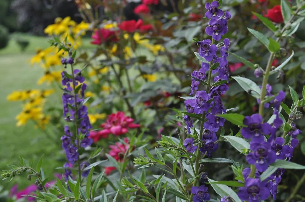 Expert landscape design in Hilliard, OH by Michael Todd's Landscape Specialties