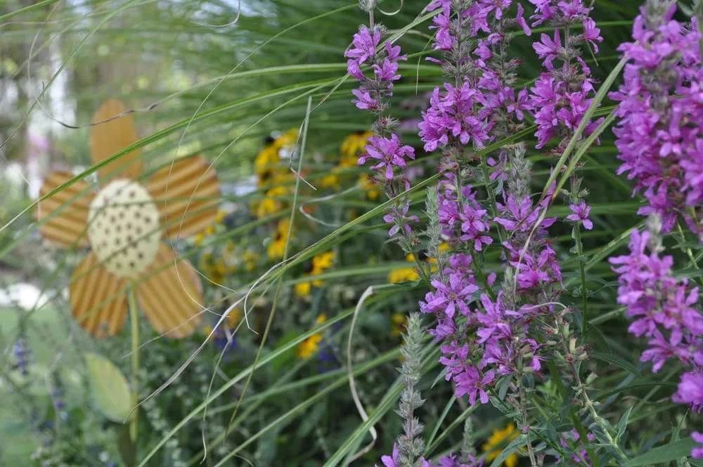 Local outdoor landscaping for beautiful yards across Hilliard, OH - Michael Todd's Landscape Specialties