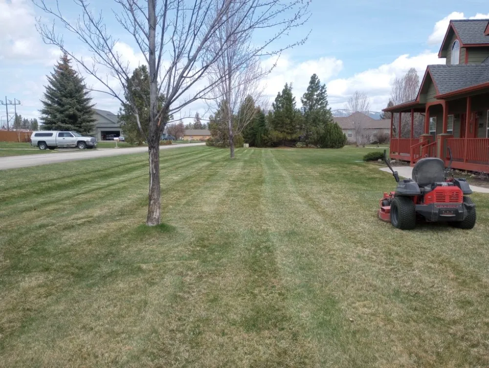 Affordable yard maintenance in Florence, MT - Michael Waller Lawn Service
