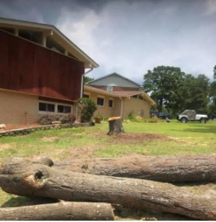 Local landscaping services for outdoor upgrades in Columbia, SC by Michael Wayne's Landscaping And Tree Service